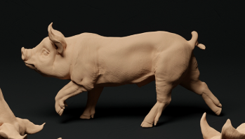 Bershire Piglet No. 3 from Animal den miniatures