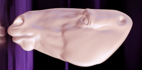 Pferdekopf zum Custen 3D Druck PrintedPonies Celene Dionn Draft Horse