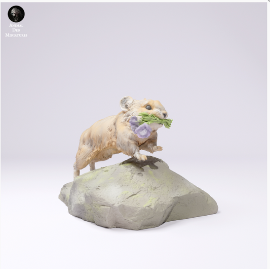 Running american Pika by animal den miniatures as 3D print