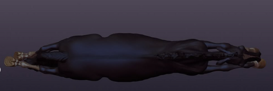 Jumping mare Lotte from Mirek_art_models as 3D print