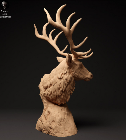 Red deer bust by Animal den miniatures as 3D print