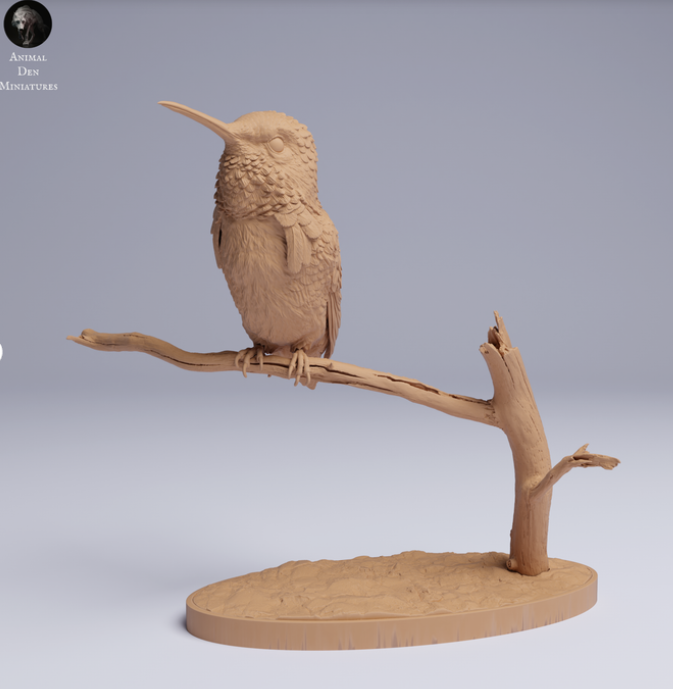 Kolibri sitzt auf Ast von Animal den miniatures als 3D Druck