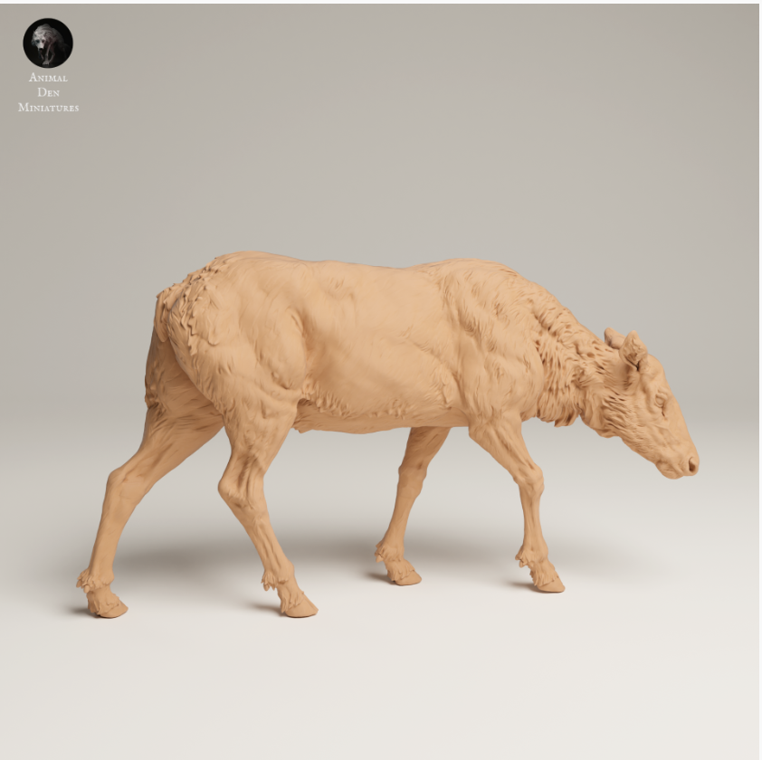 Rocky Mountain Elchkuh von Animal den miniatures
