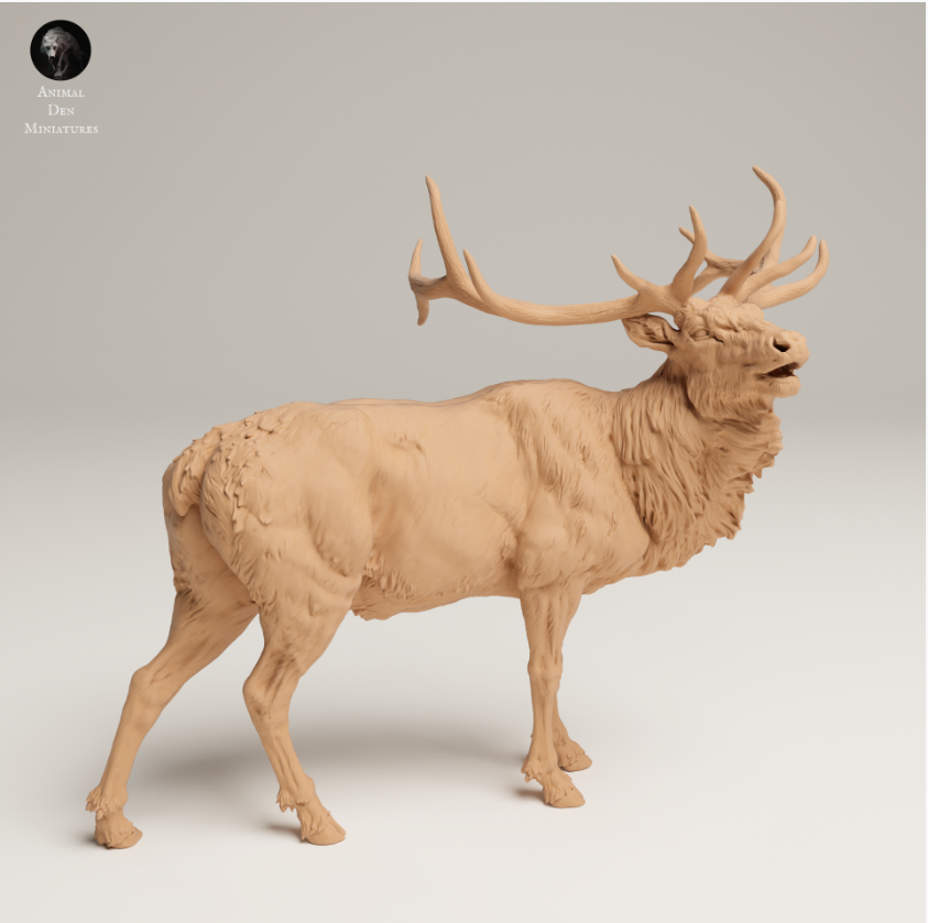 Rocky Mountain Elch von Animal den miniatures als 3D Druck