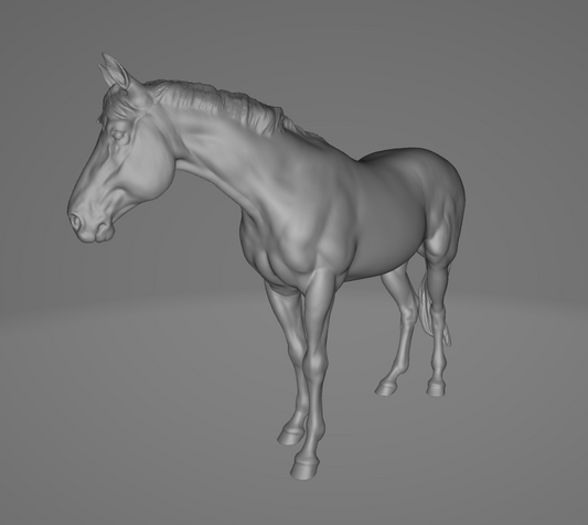 Shiner by PrintedPonies / Fundraising campaign for horse Shiner