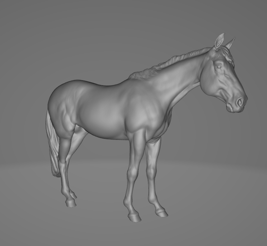 Shiner von PrintedPonies / Spendenaktion für Pferd Shiner