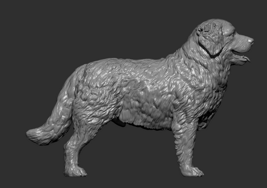 Berner Sennenhund von Alexander3dArt