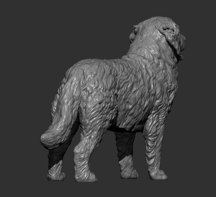 Berner Sennenhund von Alexander3dArt