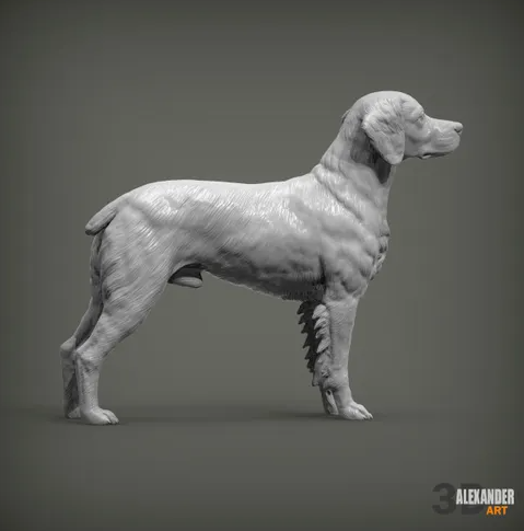 Epagneul Breton von Alexander3dArt