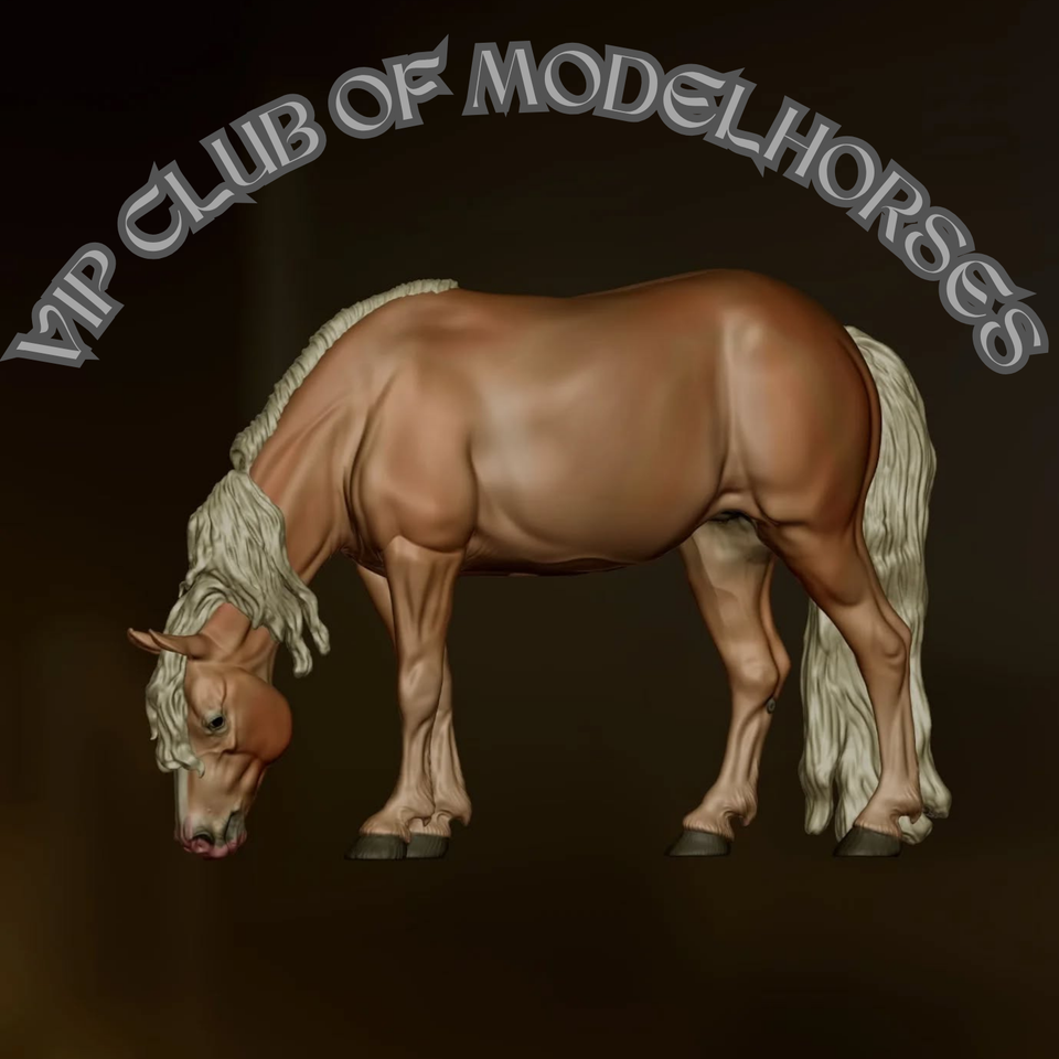 VIP Club der Modellpferde