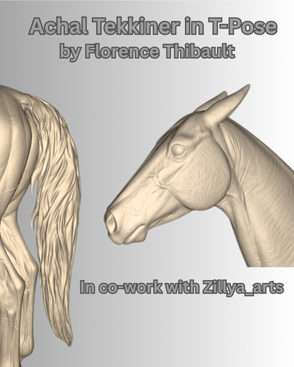 Akhal-Teke en pose T par Florence Thibault en impression 3D / modèle exclusif pour Zillya_arts