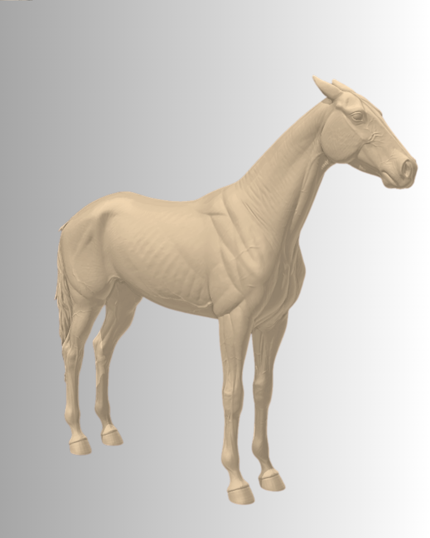 Akhal-Teke en pose T par Florence Thibault en impression 3D / modèle exclusif pour Zillya_arts