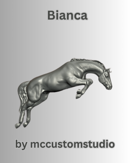 Bianca de mccustomstudio / En collaboration avec mccustomstudio