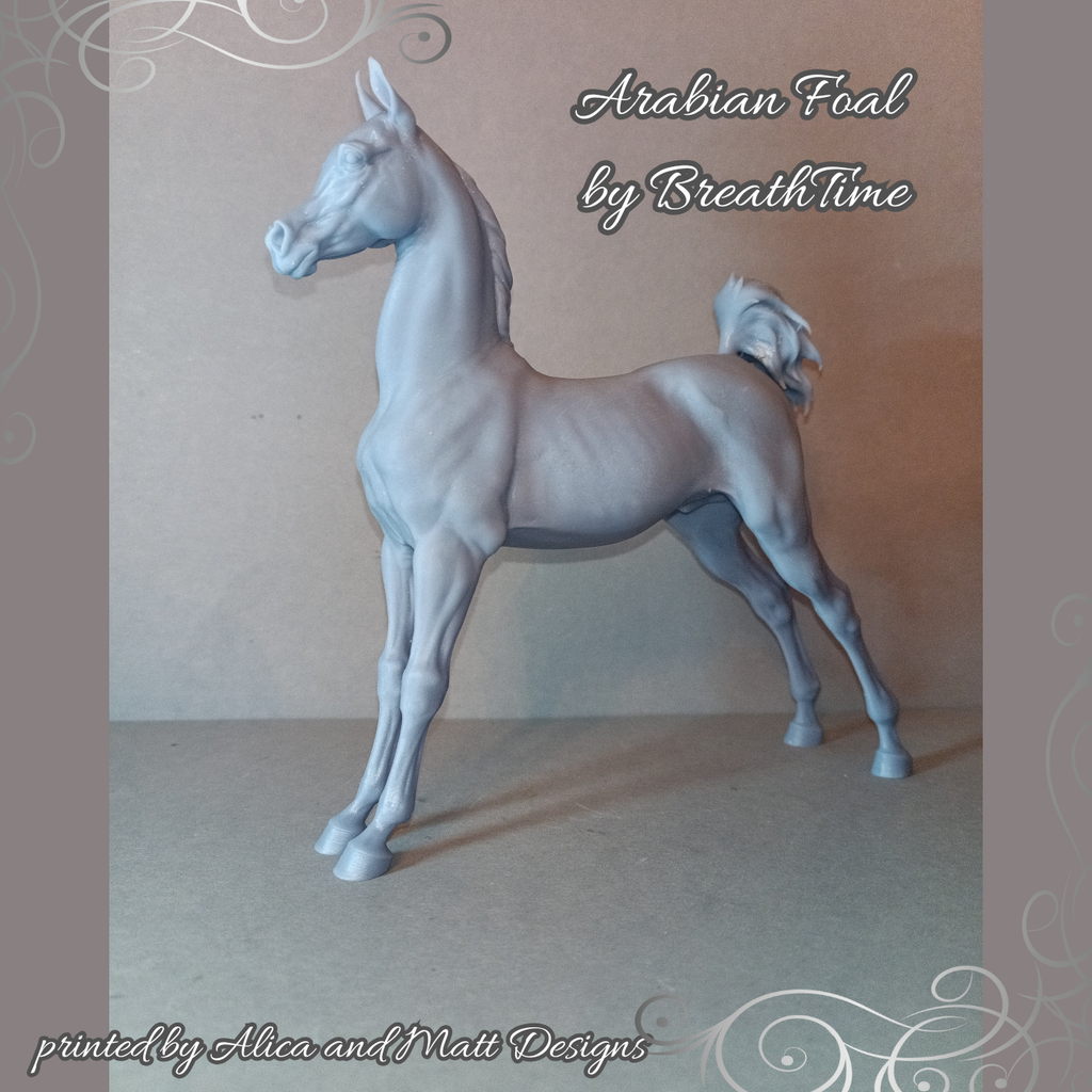 Poulain arabe par BreathTime en impression 3D
