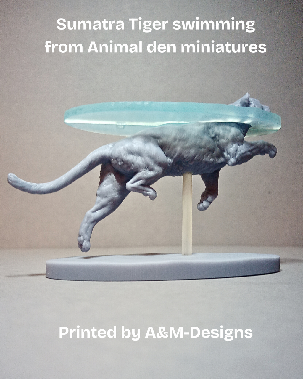 Schwimmender Sumatra Tiger von Animal den miniatures