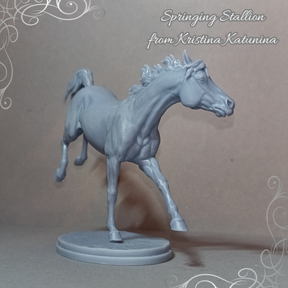 Jumping Stallion by Kristina Katunina