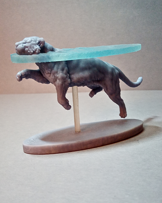 Tigre de Sumatra nageant par Animal den miniatures