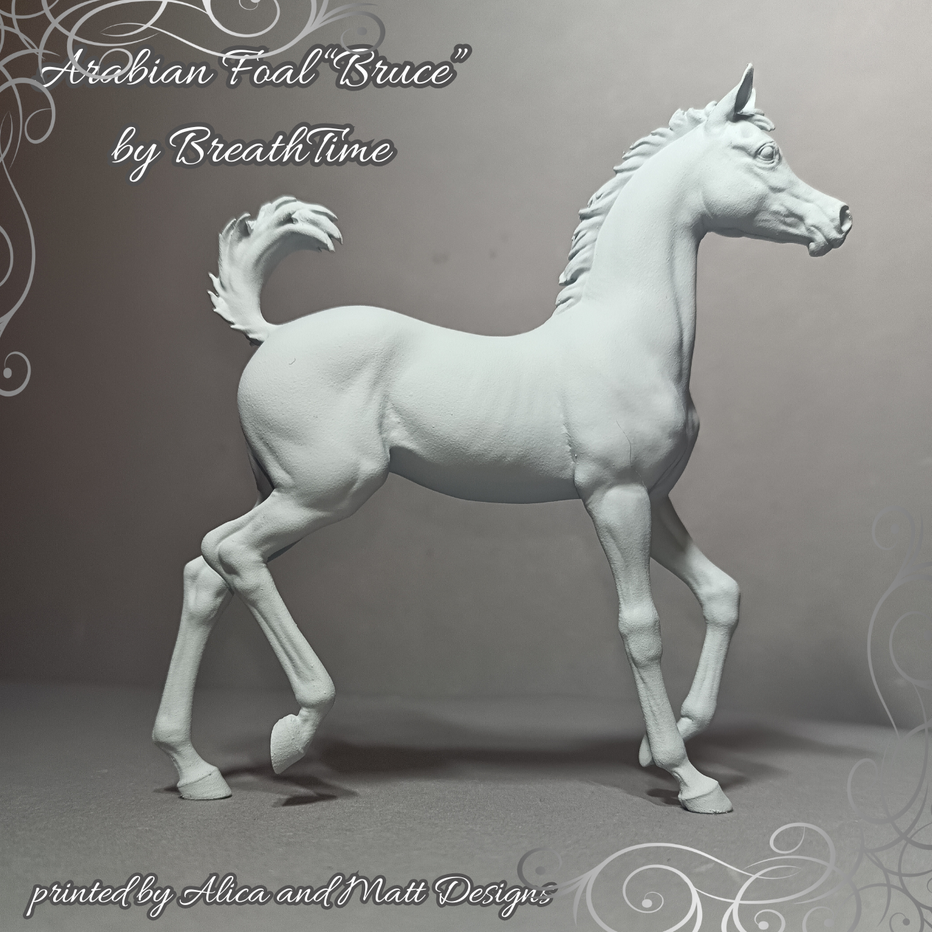 Rennendes Fohlen Bruce  von Breathtime
