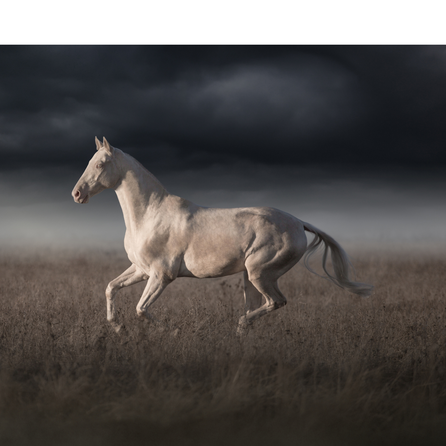 Peinture pour chevaux miniatures 1:18-1:16