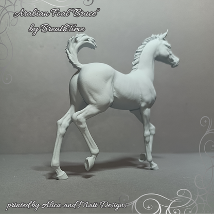 Rennendes Fohlen Bruce  von Breathtime