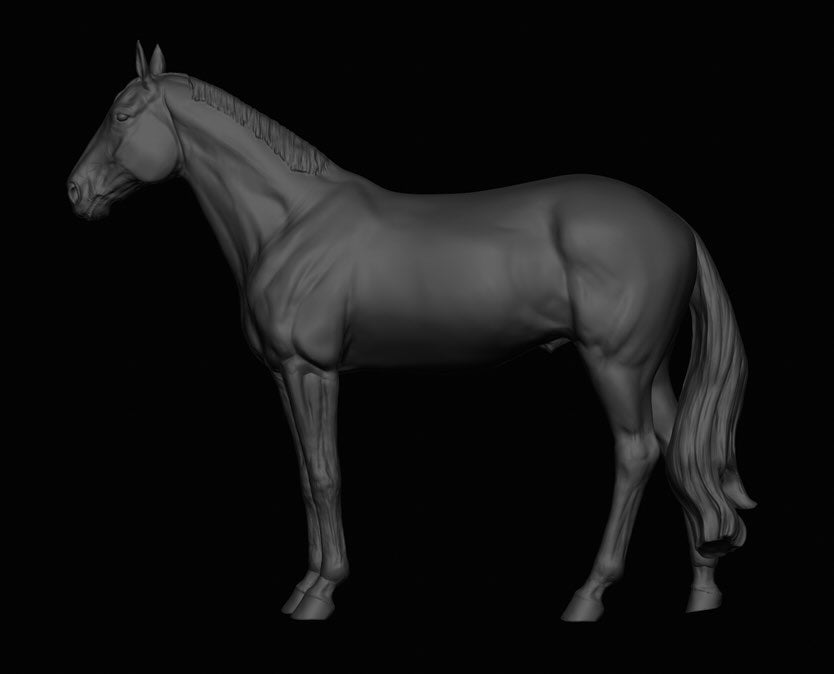 Warmblood stallion "Delling" by mccustomstudio / In collaboration with mccustomstudio