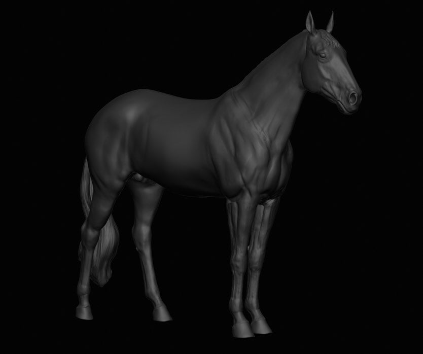 Warmblood stallion "Delling" by mccustomstudio / In collaboration with mccustomstudio