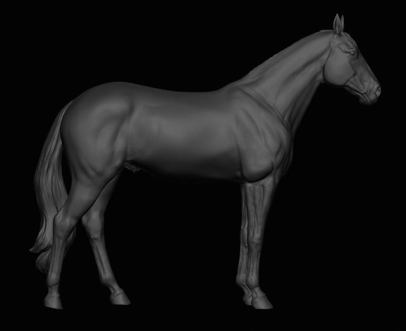 Warmblood stallion "Delling" by mccustomstudio / In collaboration with mccustomstudio