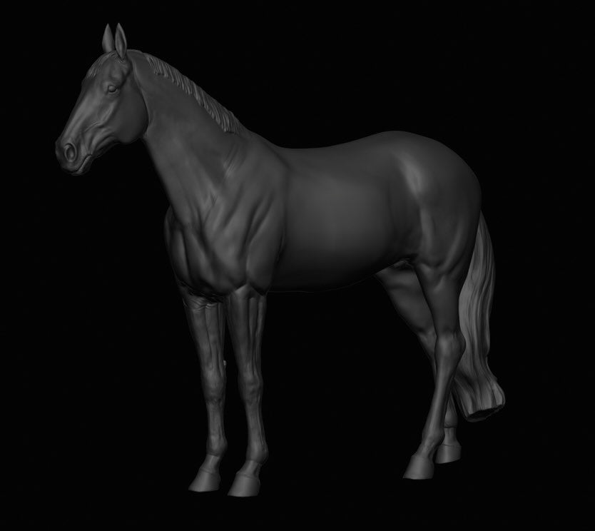 Warmblood stallion "Delling" by mccustomstudio / In collaboration with mccustomstudio