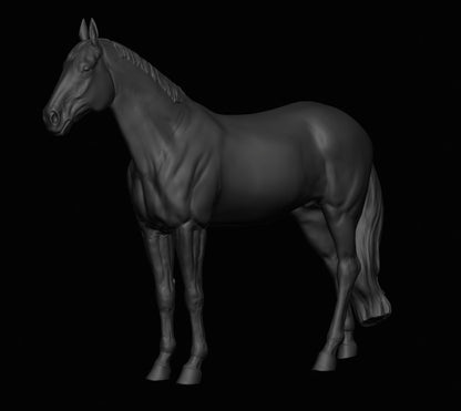 Warmblut Hengst "Delling" von mccustomstudio / In Zusammenarbeit mit mccustomstudio