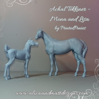 Achal Tekkiner Duo "Mona und Lisa" von PrintedPonies als 3D Druck