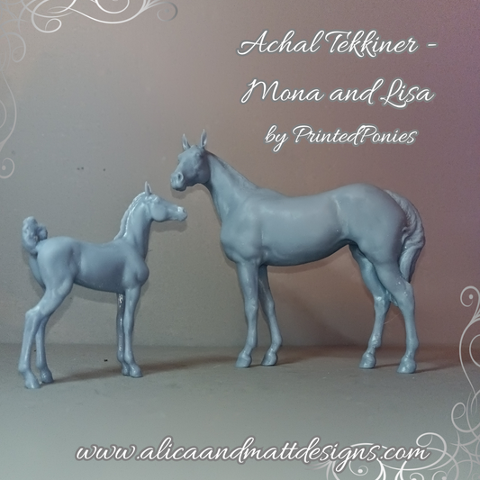 Achal Tekkiner Duo "Mona und Lisa" von PrintedPonies als 3D Druck