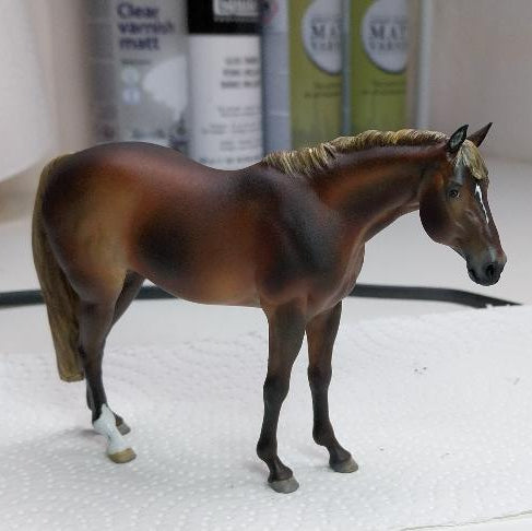 Shiner par PrintedPonies / Collecte de fonds pour le cheval Shiner