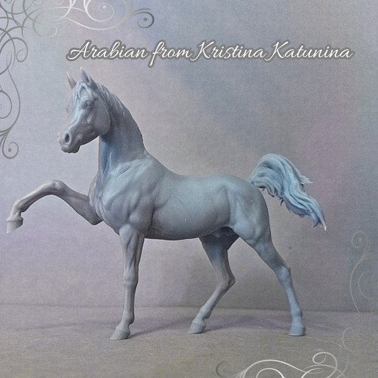 Araber von Kristina Katunina als 3D Druck