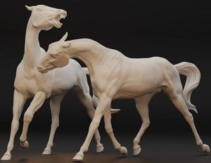 A horse pair with a male and a female horse achal Tekkiner
