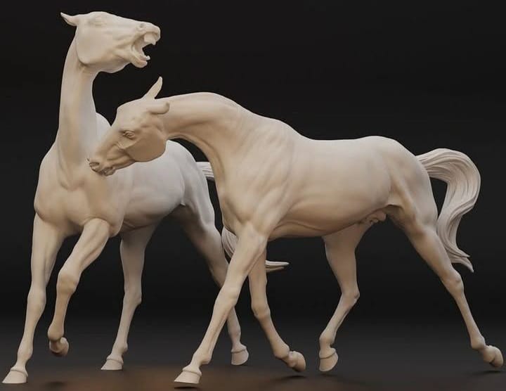 A horse pair with a male and a female horse achal Tekkiner