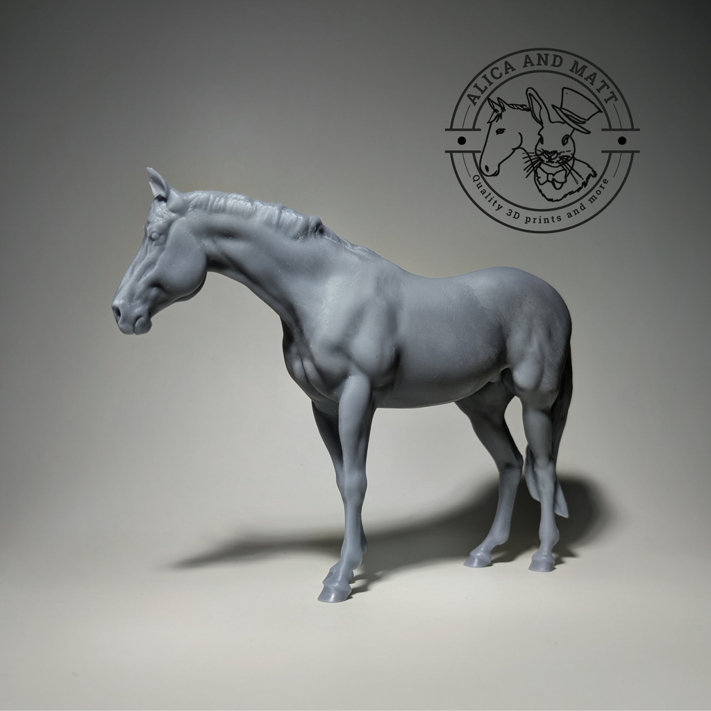 Shiner par PrintedPonies / Collecte de fonds pour le cheval Shiner