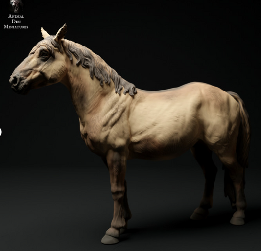 Cheval Konik d'Animal the miniatures