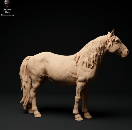 Cheval Konik d'Animal the miniatures