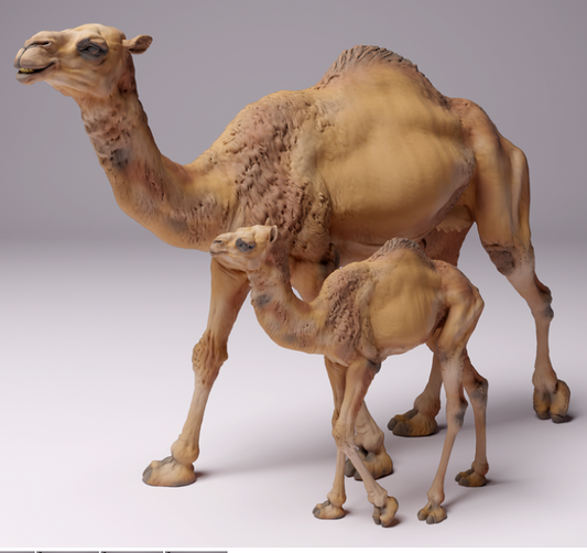Mère dromadaire avec son petit par animal den miniatures