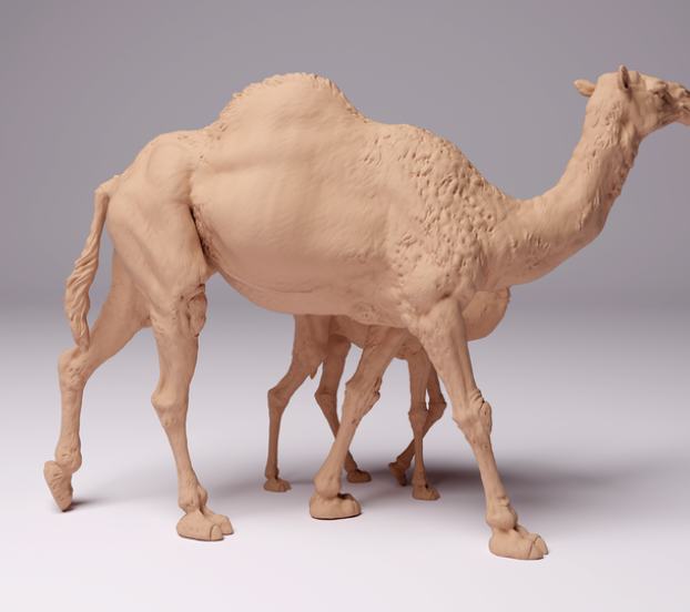 Dromedary mother with calf by animal den miniatures