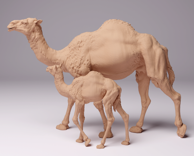 Dromedary mother with calf by animal den miniatures