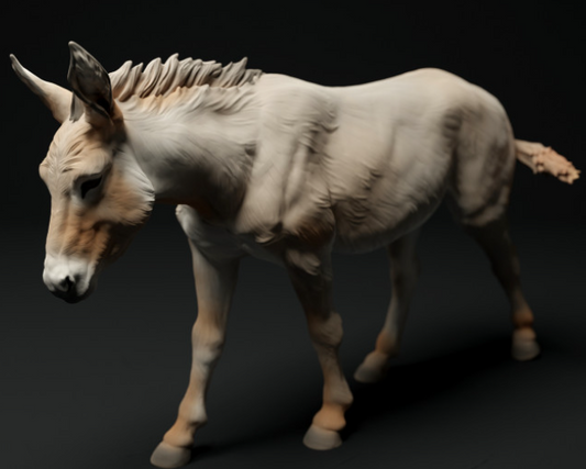 âne courant d'Animal the Miniatures