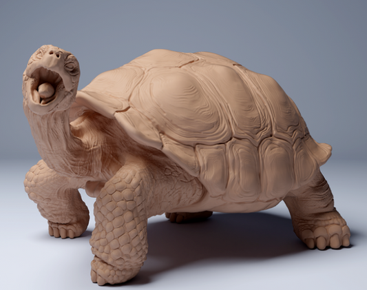Tortue géante des Galapagos en train de manger, par Animal Den Miniatures
