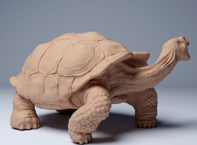 Tortue géante des Galapagos en train de manger, par Animal Den Miniatures