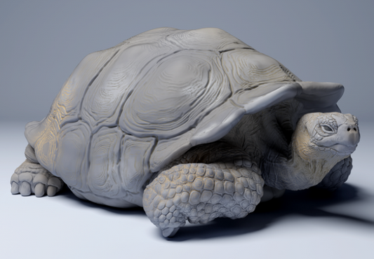 Tortue géante des Galapagos allongée par Animal Den Miniatures