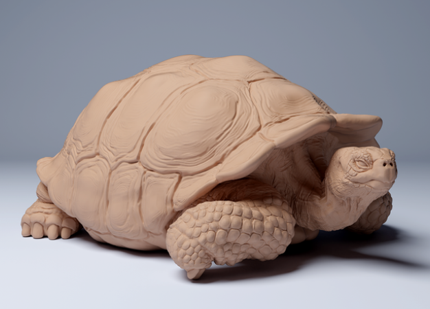 Liegende Galapagos-Riesenchildkröte von Animal Den Miniatures