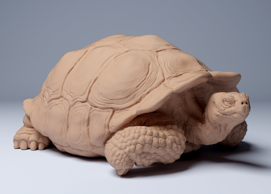 Tortue géante des Galapagos allongée par Animal Den Miniatures