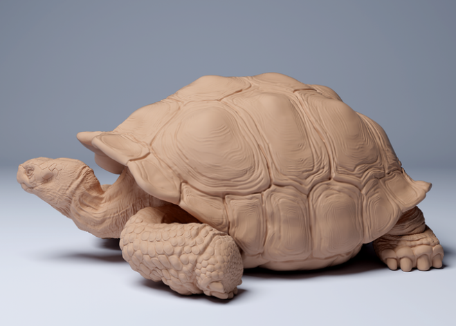 Liegende Galapagos-Riesenchildkröte von Animal Den Miniatures
