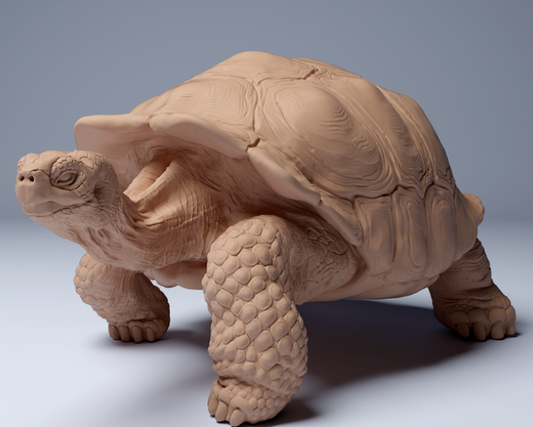 Tortue géante des Galapagos (Animal Den Miniatures)