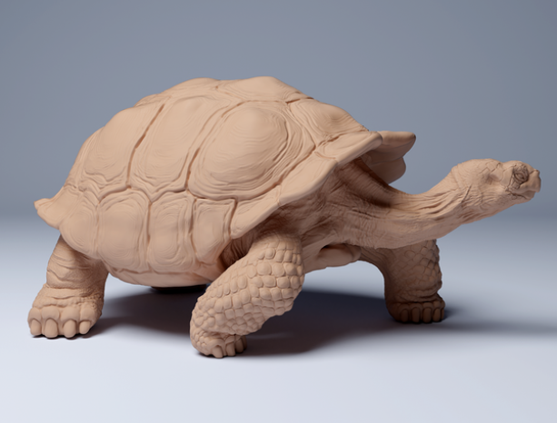 Tortue géante des Galapagos (Animal Den Miniatures)